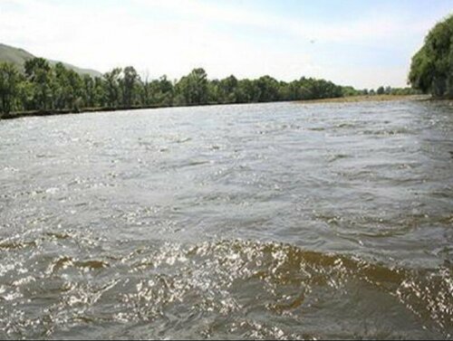 Улз голын усанд живж, амь насаа алджээ